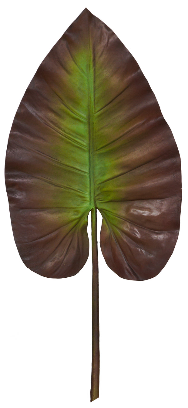 Tropical Leaf Stem