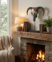 Cozy living room with stone fireplace, books, lamp, and decorative ram head.