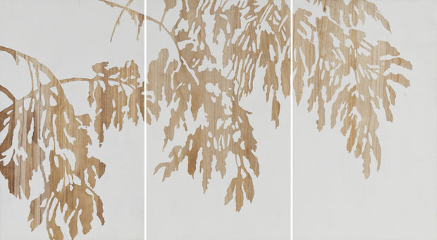 Petoile on White