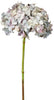 A single-stemmed hydrangea flower with small flowers in shades of white, pink, and ivory, against a white background.