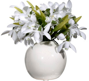 Snowdrop Arrangement in White Vase