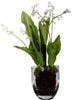 A Lily of the Valley plant with small white flowers and large green leaves, placed in a clear glass vase filled with soil.