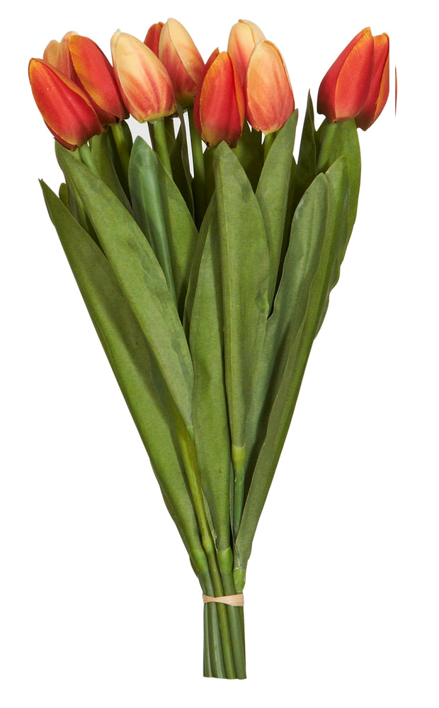 Tulip Arrangement (check quanity in bunch)