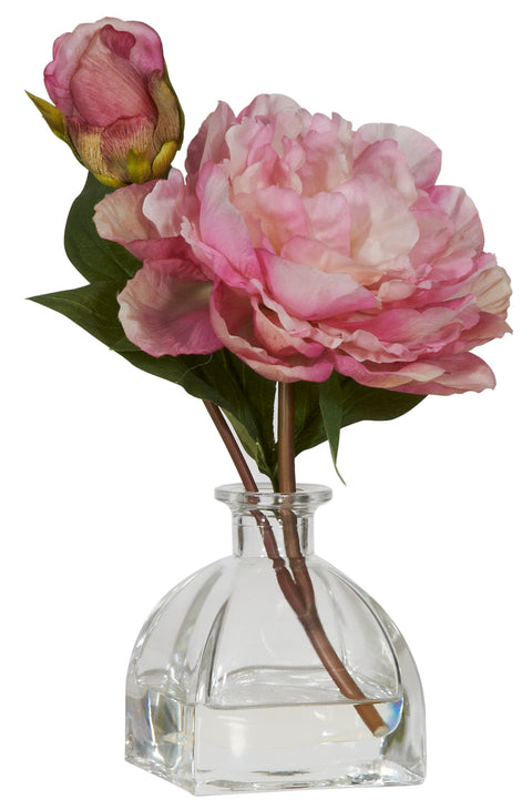 Peony in Glass Vase