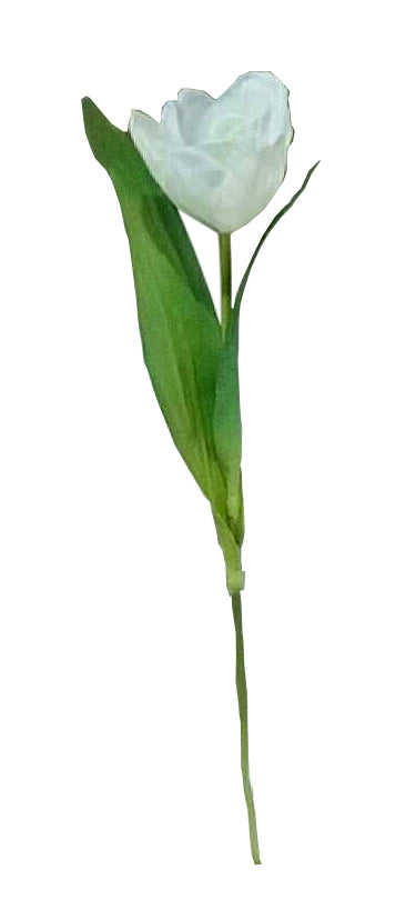 Single Silk Tulip