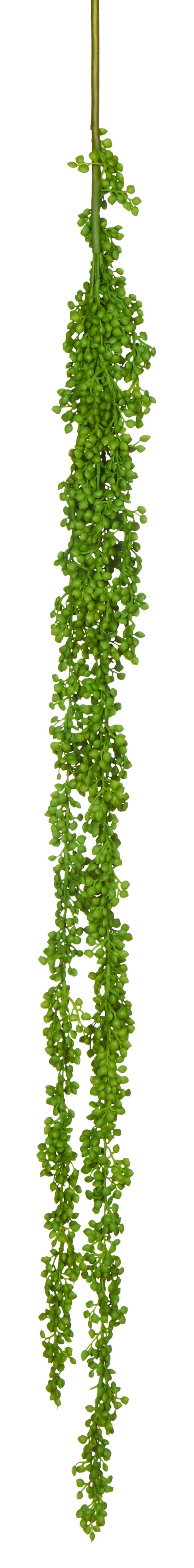 47HANGING SUCCULENT SPRAY