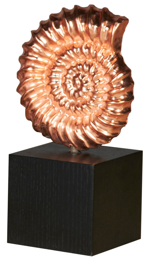 Snail Shell Sculpture on Black Base