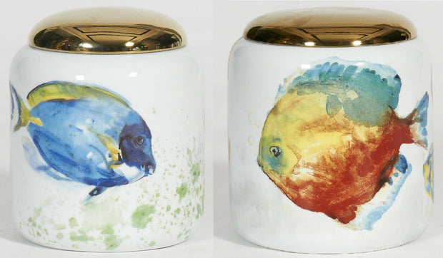 Dory/Tropical Fish Short Jar with Gold Lid