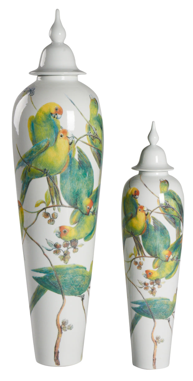 Macaw Flock Jar with White Lid
