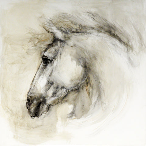 Horse Portrait